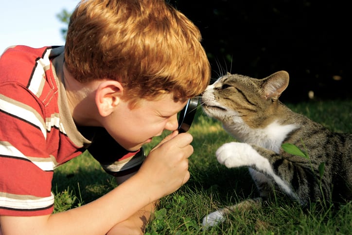 little boy with magnifying glass looking at cat