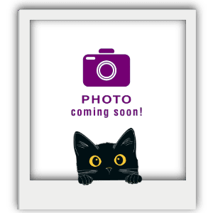 picture frame with photo coming soon and kitty peaking head
