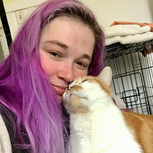 Female with long pink hair snuggling with a white and brown cat