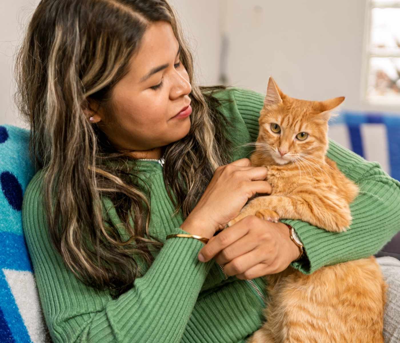 A person in a green sweater holds an orange cat on their lap