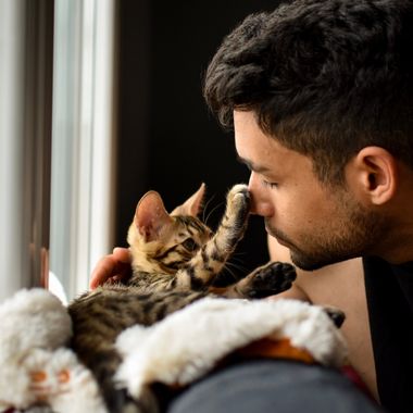 A young cat with tabby markings touches a person's nose